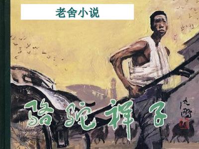 麻豆天美果冻乌鸦星空大象视频在线观看